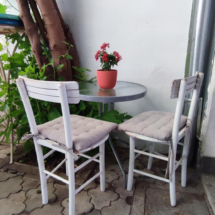 Centar Novi Sad-Apartman No 3 المظهر الخارجي الصورة