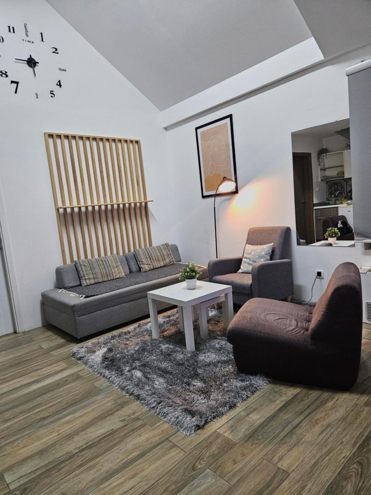Centar Novi Sad-Apartman No 3 المظهر الخارجي الصورة